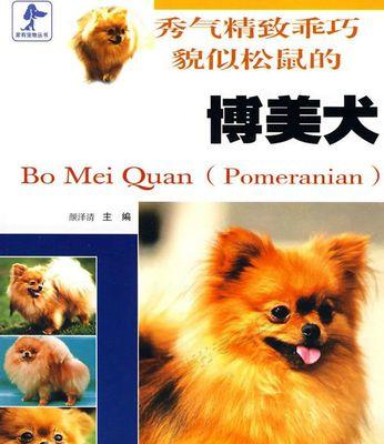 TheUltimateGuidetoNamingYourPomeranianDog（ExploreTrendyandUniqueEnglishNamesforYourBelovedPet）