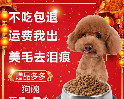 宠物幼犬的健康饮食——以博美狗粮为例（让你的小家伙健康成长）