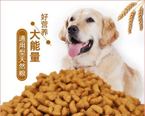 博美犬最适合的狗粮品牌（选择最适合博美犬的狗粮品牌）