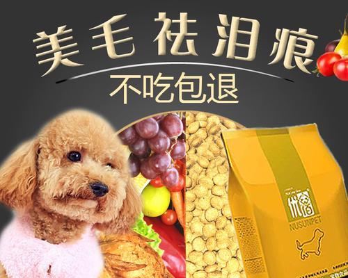 如何为你的宠物博美幼犬选择狗粮（了解幼犬的营养需求）