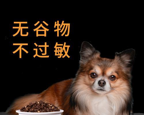 如何为你的博美幼犬提供全面营养的狗粮（从宠物的需求出发）