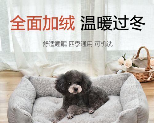 博美幼犬拉便正常吗（狗狗排便习惯及健康指南｜宠物养护大全）