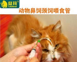 不敢给猫咪打针，你需要了解的事项（宠物健康的重要性与打针的必要性）