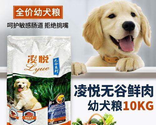 如何正确喂养成年金毛犬（健康饮食）