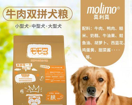 成年金毛犬日常狗粮摄入量剖析（掌握金毛犬适量饮食）