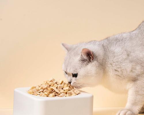 为什么宠物要吃猫粮（探讨宠物饮食的必要性和猫粮的优越性）