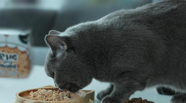 为什么宠物要吃猫粮（探讨宠物饮食的必要性和猫粮的优越性）