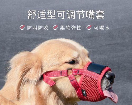 给大型犬狗狗选择什么肉食品种更好？