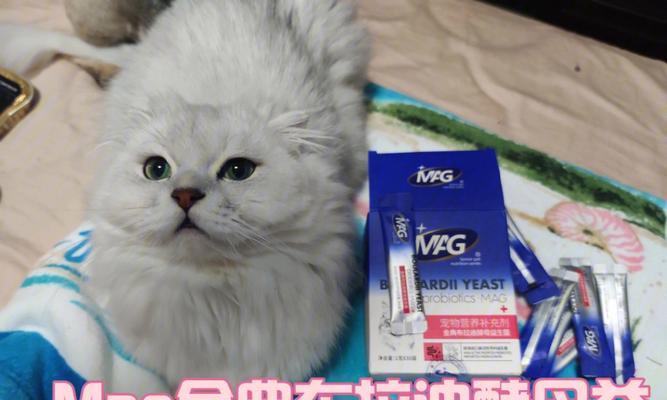 猫咪怀孕期间的益生菌摄入（宠物健康全靠益生菌）