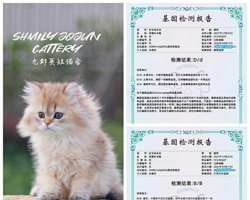 宠物基因治疗——猫咪基因检测为例（以科技创新提升宠物健康）