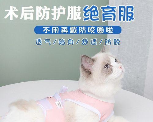 猫咪绝育后注意事项（第二天可以跳吗）