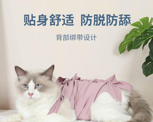 猫咪绝育后几天大便问题（从宠物健康角度出发）