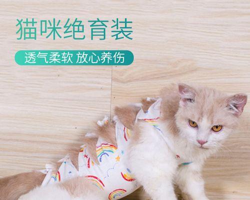 猫咪绝育后几天大便问题（从宠物健康角度出发）