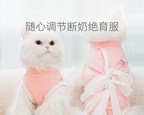 猫咪绝育后对其他猫的影响（绝育后如何适应同伴生活）