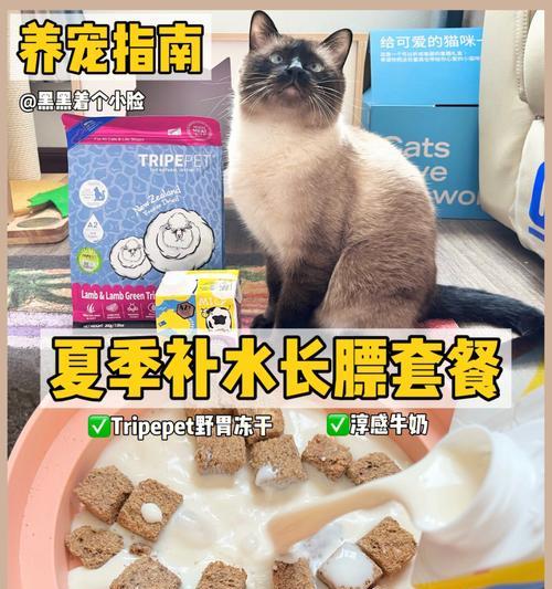 猫咪能否喝舒化奶（以宠物为主）