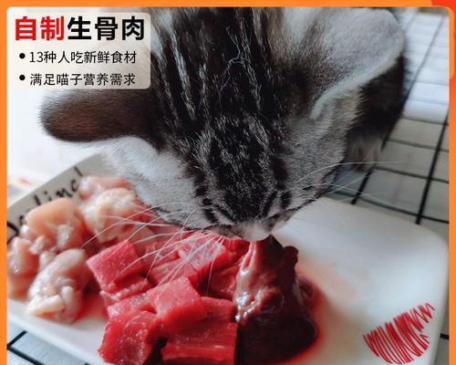 《猫咪口腔健康食谱大全》（以宠物为主）