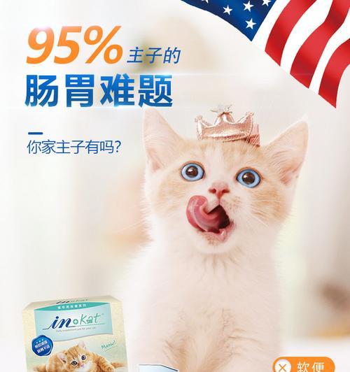 猫咪拉肚子怎么办（以宠物为主）