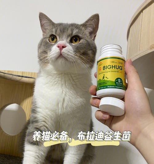 猫咪拉肚子怎么办（以宠物为主）