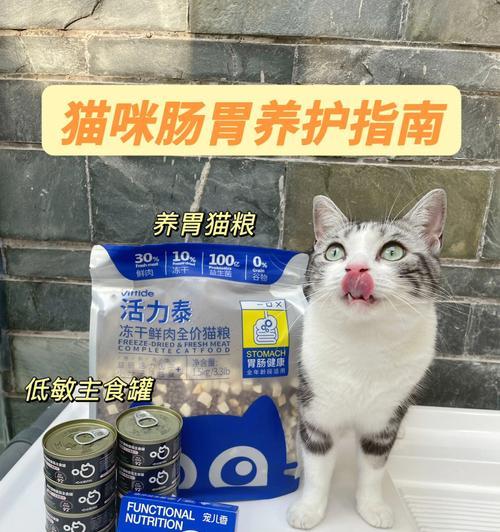 宠物猫咪拉稀喝益生菌，该如何处理（教你如何给宠物猫咪喝益生菌治疗拉稀问题）