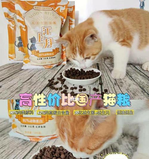 如何喂养拉稀的猫咪（以猫粮为主的喂养方法）