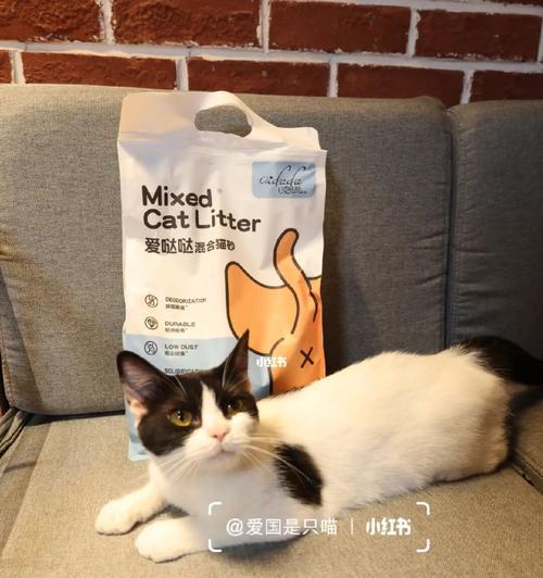 如何正确清理宠物猫咪猫砂（一周两次换猫砂）