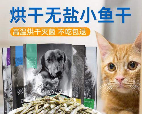 猫咪没有猫粮了怎么办（宠物主人必读）