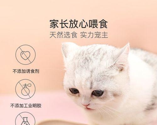 猫咪没有猫粮了怎么办（宠物主人必读）