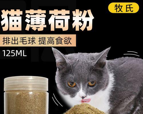 猫咪的健康生活——猫草的重要性（宠物猫每天吃多少猫草才是最健康的）