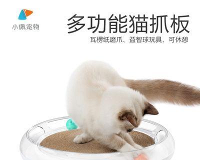 猫咪磨爪子的好处（宠物护理中不可忽略的一环）