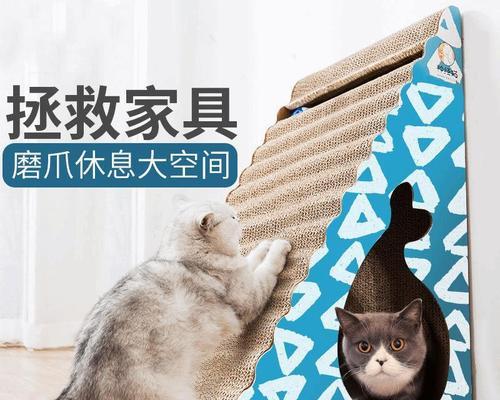 猫咪磨爪子的好处（宠物护理中不可忽略的一环）