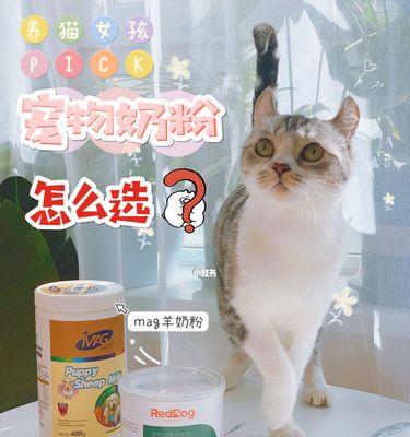 猫咪该喝哪个品牌的羊奶粉（探究宠物饮食领域中羊奶粉的选择）