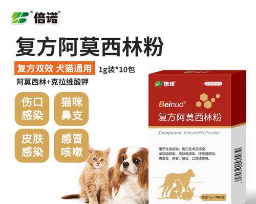 猫咪能否吃阿莫西林（探究猫咪用药的安全性及注意事项）