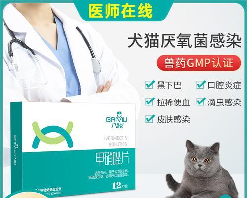 关于猫咪尿路感染的消炎药（以宠物为主）