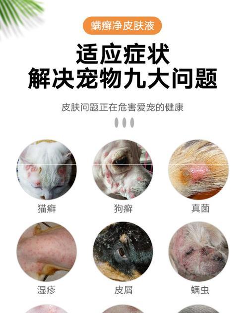 如何选用正确的药物治疗猫咪皮肤病（以宠物为主的治疗方案）