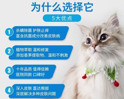 如何选用正确的药物治疗猫咪皮肤病（以宠物为主的治疗方案）