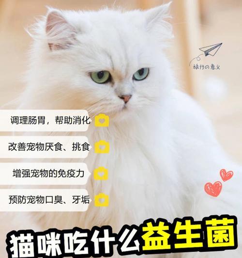 猫咪频繁呕吐喂益生菌，你需要知道的关键信息（宠物健康从肠开始）