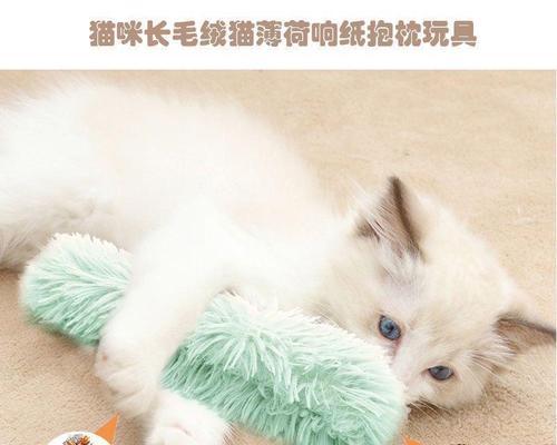 为什么要给宠物猫吃猫薄荷（了解猫薄荷对宠物猫的益处和使用方法）