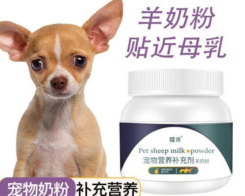 探讨以尾巴好短的狗的品种及特点