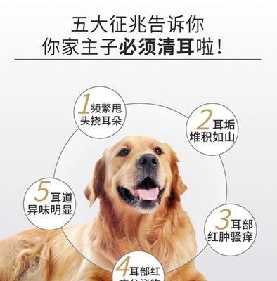 狗狗耳朵外发炎的原因及治疗方法（保护宠物健康）