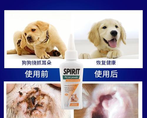 狗狗耳朵外发炎的原因及治疗方法（保护宠物健康）