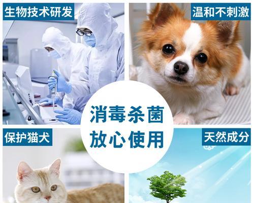 犬瘟病犬用药指南（以狗狗犬瘟输什么药为主题的详细介绍及用药建议）