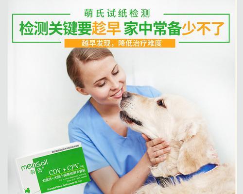 宠物犬瘟细小的消毒方法（保护爱犬健康）