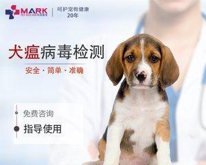 宠物犬瘟细小的消毒方法（保护爱犬健康）