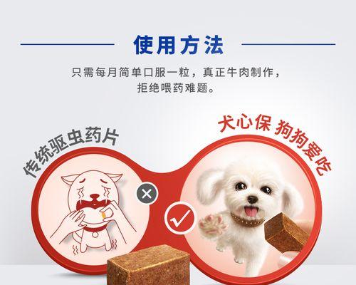 宠物狗要如何选择驱虫药（保护爱犬健康）