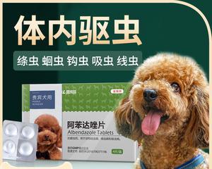 宠物狗要如何选择驱虫药（保护爱犬健康）