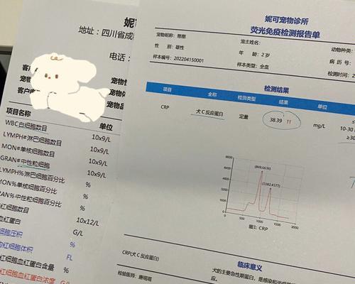 从狗的血液中解读它的健康状况（用血常规检查预防和治疗宠物疾病）