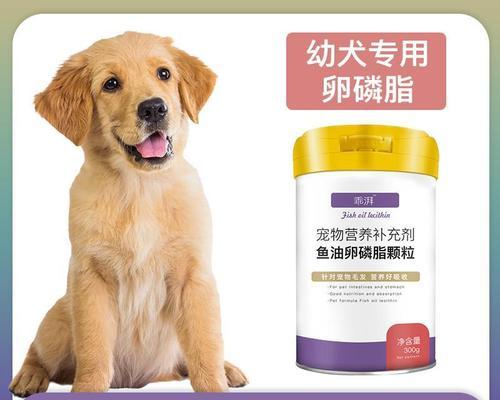 金毛犬幼犬拉稀问题解决方法（宠物健康从细节抓起）