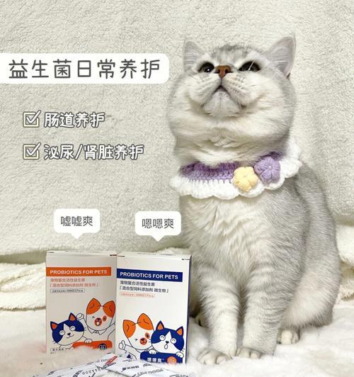 如何选择最适合宠物猫的益生菌品牌（以猫用益生菌什么牌子好）