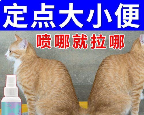 从大便颜色看宠物猫的健康（掌握这些颜色变化）