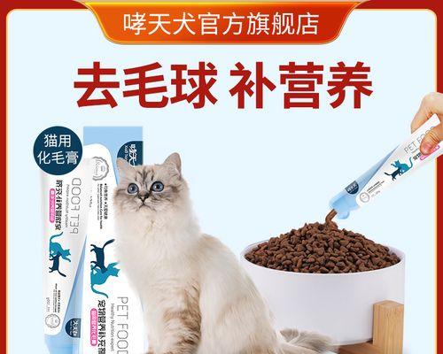 猫咪怀孕几天会出现呕吐（了解宠物怀孕中的这些小问题）